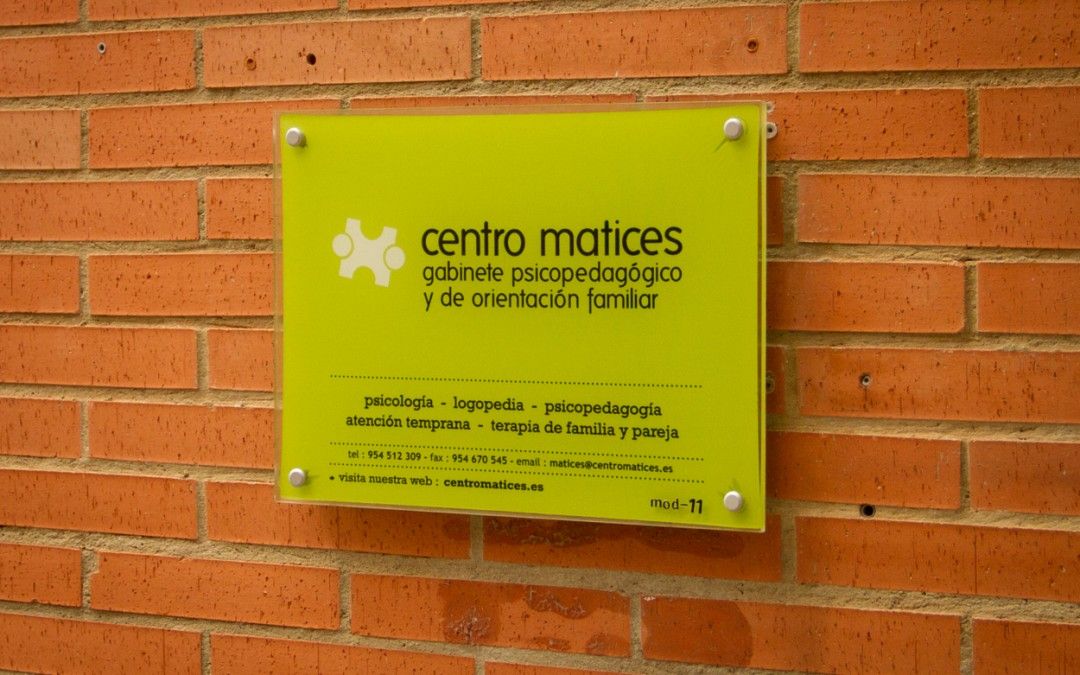 Balance abreviado Centro Matices 2019